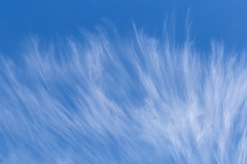 white cirrus clouds in a blue sky - obrazy, fototapety, plakaty