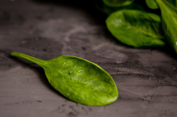 Green fresh spinach on a black rustic background
