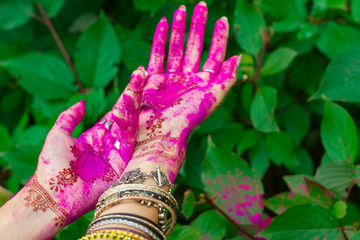 Woman smeared hands with henna tattoo and bracelets jewelry colorful pink violet Holi dust powder...