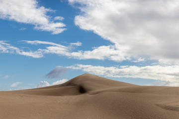 Fototapeta na wymiar Sand dune 