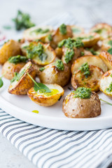 Baked potatoes in rustic style with green pesto sauce
