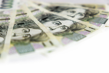 Czech money close-up on the white background