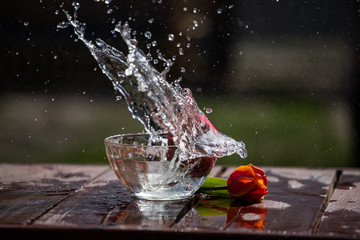 splash of water