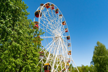 Ferris wheel in the park