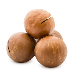 macadamia, nut, isolated on white background, clipping path, full depth of field