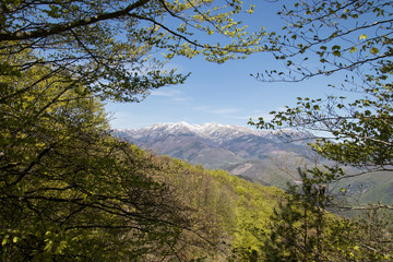 Panorama depuis la tour de Cabrens 