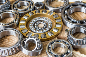 A set of different bearings on the cut of the tree.