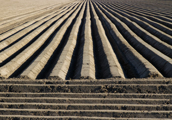 Straight patterns on a cultivated agricultural field