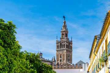 Naklejka premium The Giralda is the bell tower of the Cathedral of Seville. Its height is 343 feet and is the former minaret of the mosque that stood on the site under Muslim rule.