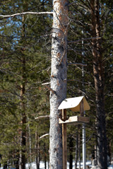 Birdhouse on a tree in a city park.