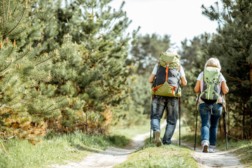 Senior couple hiking with backpacks on the road in the young pine forest, back view