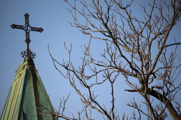 cross on top of tree