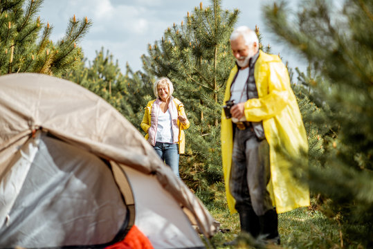 Senior couple in yellow raincoats at the campsite in the young pine forest