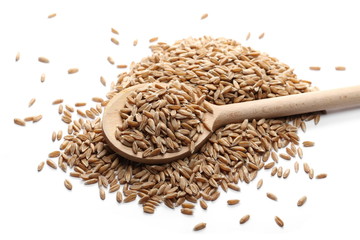 Spelt grains with wooden spoon isolated on white background