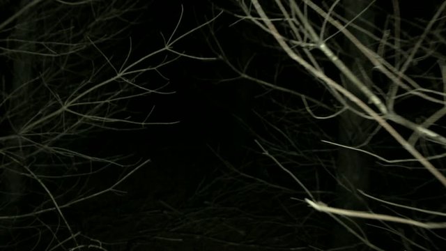 POV shot walking/running through dark spooky forest at nightEscaping from monsters or other scary stuff through the forest, with tree branches all around. Someone is chasing you and wants to eat you.