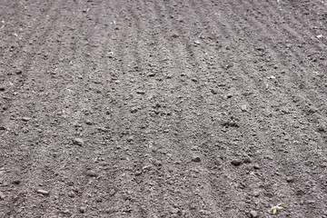 Soil background with natural brown organic texture