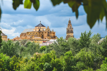 Fototapeta na wymiar Long distance view of The Great Mosque or Catholic cathedral. Cordoba, Spain.