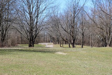 A view of the green grass park landscape in the park.