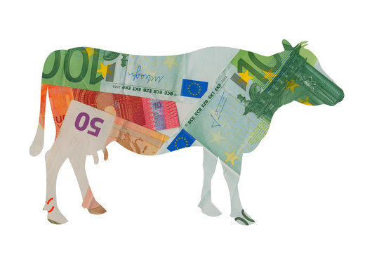 Cash cow - metaphor of business generating financial revenue, income, earning, profit and capital. Animal as source of capitalization and gainful return.
