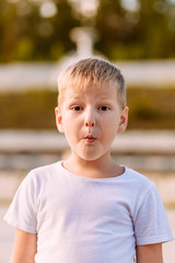 portrait of a funny six-year-old boy on a blurred natural background