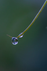 Rain Drop 