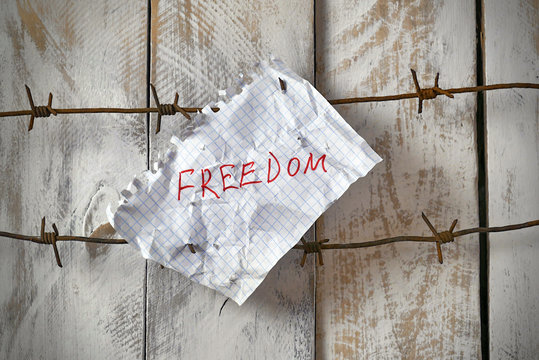 piece of paper with freedom text on barbed wire on wooden wall background