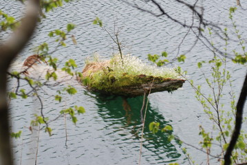 parco nazionale di Plitvica. Croazia