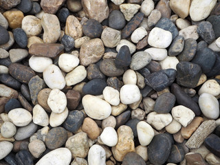 Natural Pebble Stone Walkway / Pathway in the City Park