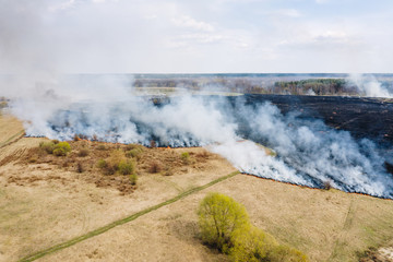 Aerial view of big fire in the field with burnt land and heavy smoke from burning dry grass