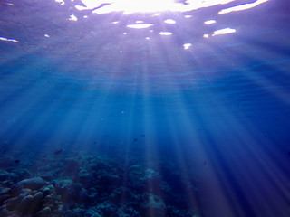 Fototapeta na wymiar Sun rays penetrating through ocean sea waters and shining on a tropical coral reefs providing light to diverse underwater marine wildlife 