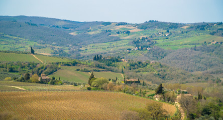 Fototapeta na wymiar The Chianti Valley, Tuscany, Italy