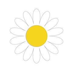 Fototapeta premium White daisy chamomile. Cute flower plant collection. Love card. Camomile icon Growing concept. Flat design.