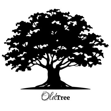 Black old tree silhouette. Tree of Life. Vector illustration.
