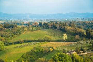 Obraz premium Toskania, Włochy. Winnice w dolinie Chianti na wiosnę