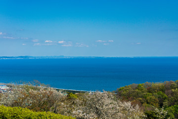 湘南平から見る平塚の町並みと相模湾