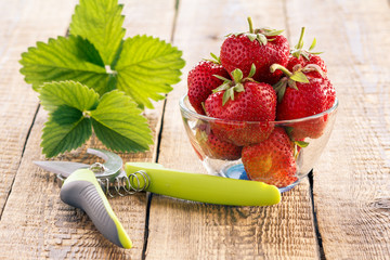 Red ripe strawberries in glass bowl and pruner on old wooden boards.