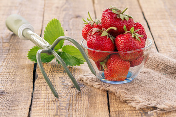 Red ripe strawberries in glass bowl and rake on old wooden boards.