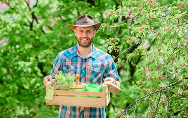 Bearded gardener guy hold box with flower pot and hoe gardening tool. Gardening advice from professional. Gardening expert tips. Garden care. Mature farmer man planting plants. Planting season