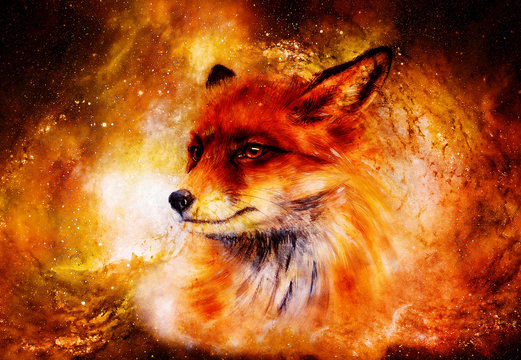 Painting of wild fox on paper. in cosmic space.
