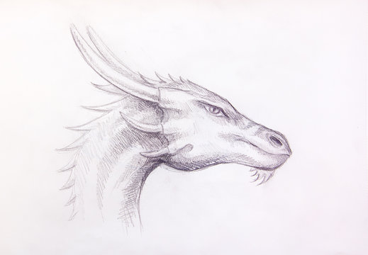 drawing of dragon head on paper. Profile portrait.