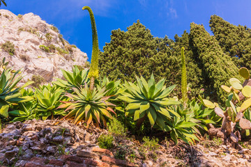 Passeggiando a Taormina - Scorci
