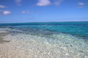 Fototapeta na wymiar Crystal clear water on Mystery Island