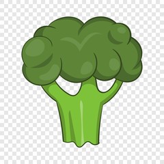 Broccoli icon. Cartoon illustration of broccoli vector icon for web design