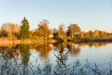 landscape evening lights