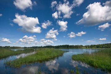 Lake Dridzs in the Latvia. 