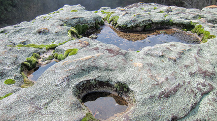 rain water standing in water worn rocks