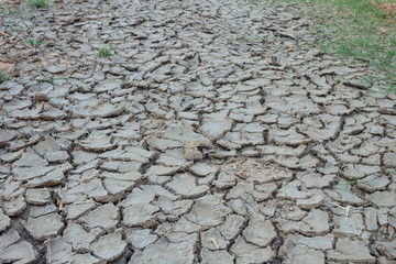 Cracked ground