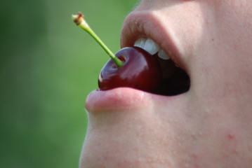 Obraz premium ciliege