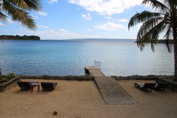 tropical beach with palm trees