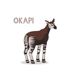 A cartoon okapi, isolated on a white background. Animal alphabet.